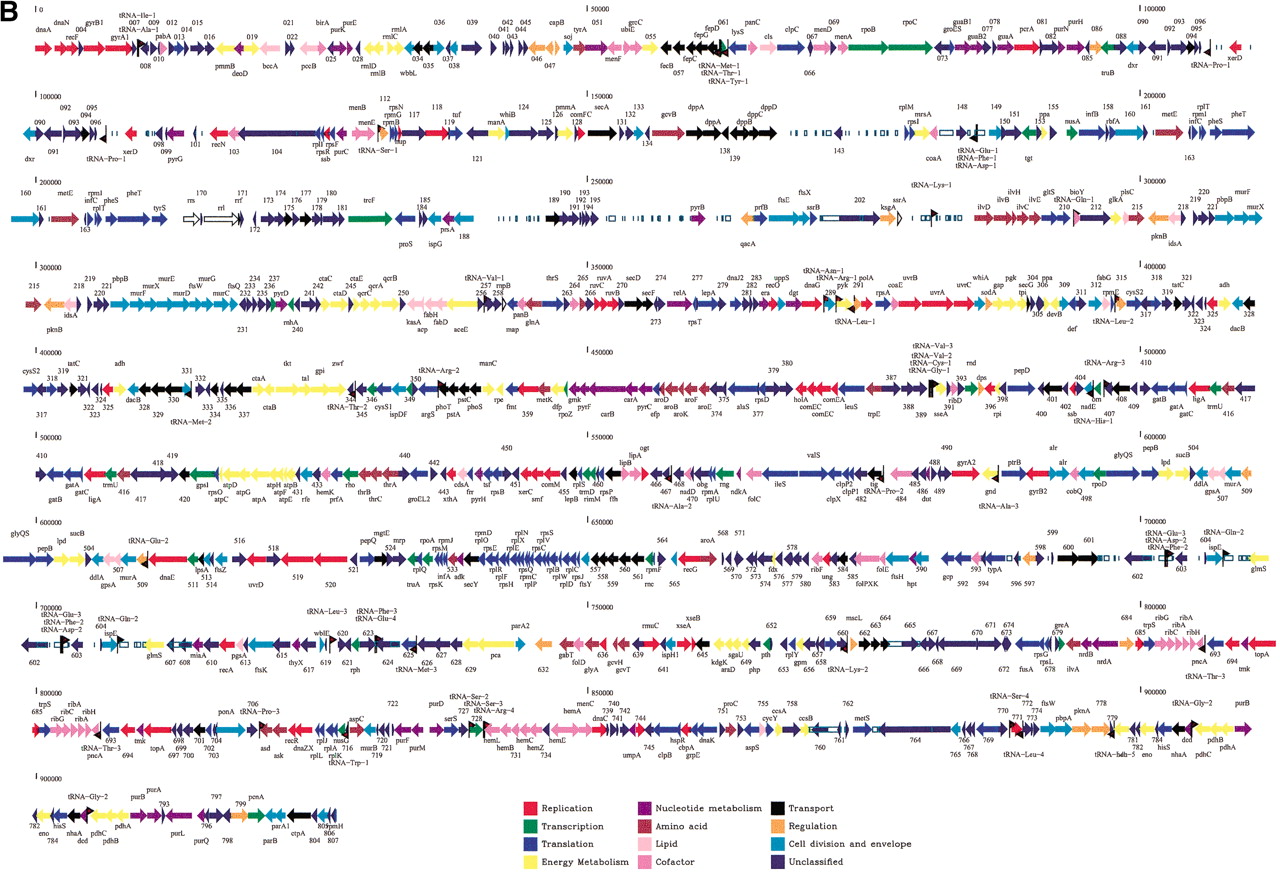 65259-22ff1b_F4TT