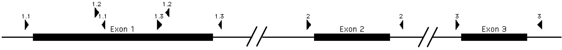 65259-10f2_L1OT
