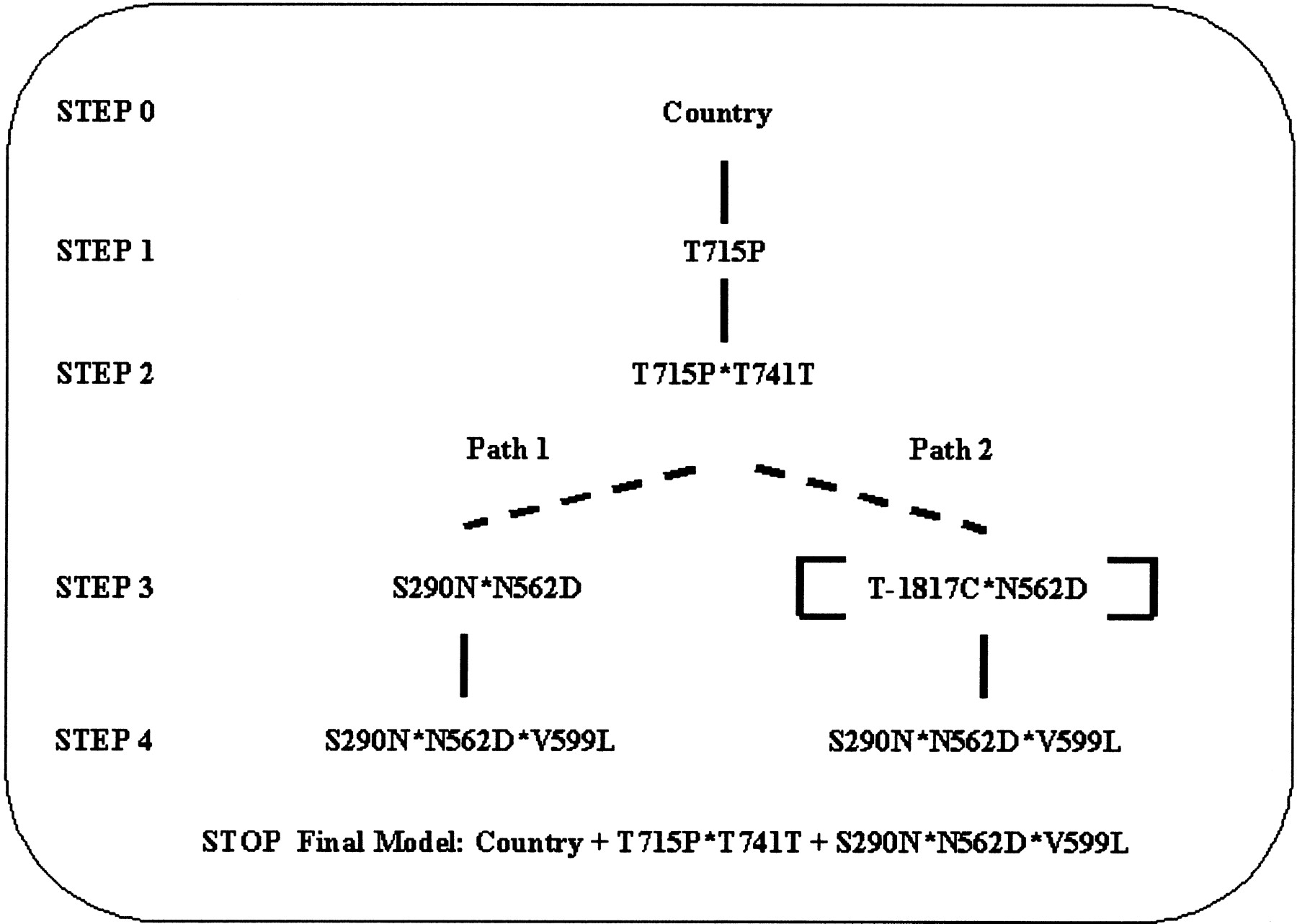 65259-19f2_L1TT