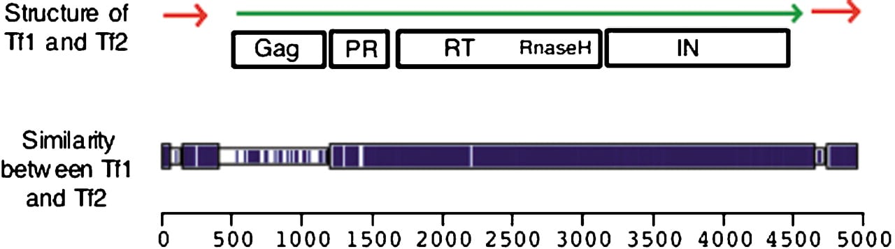 66468-23f1_F4OT