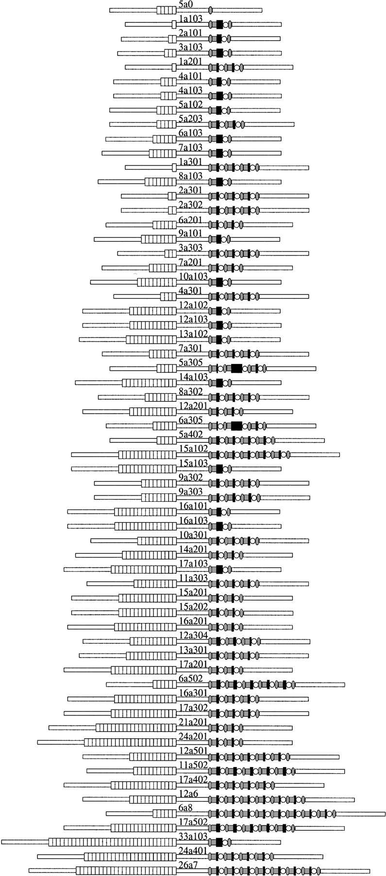 66468-11f3_F1TT