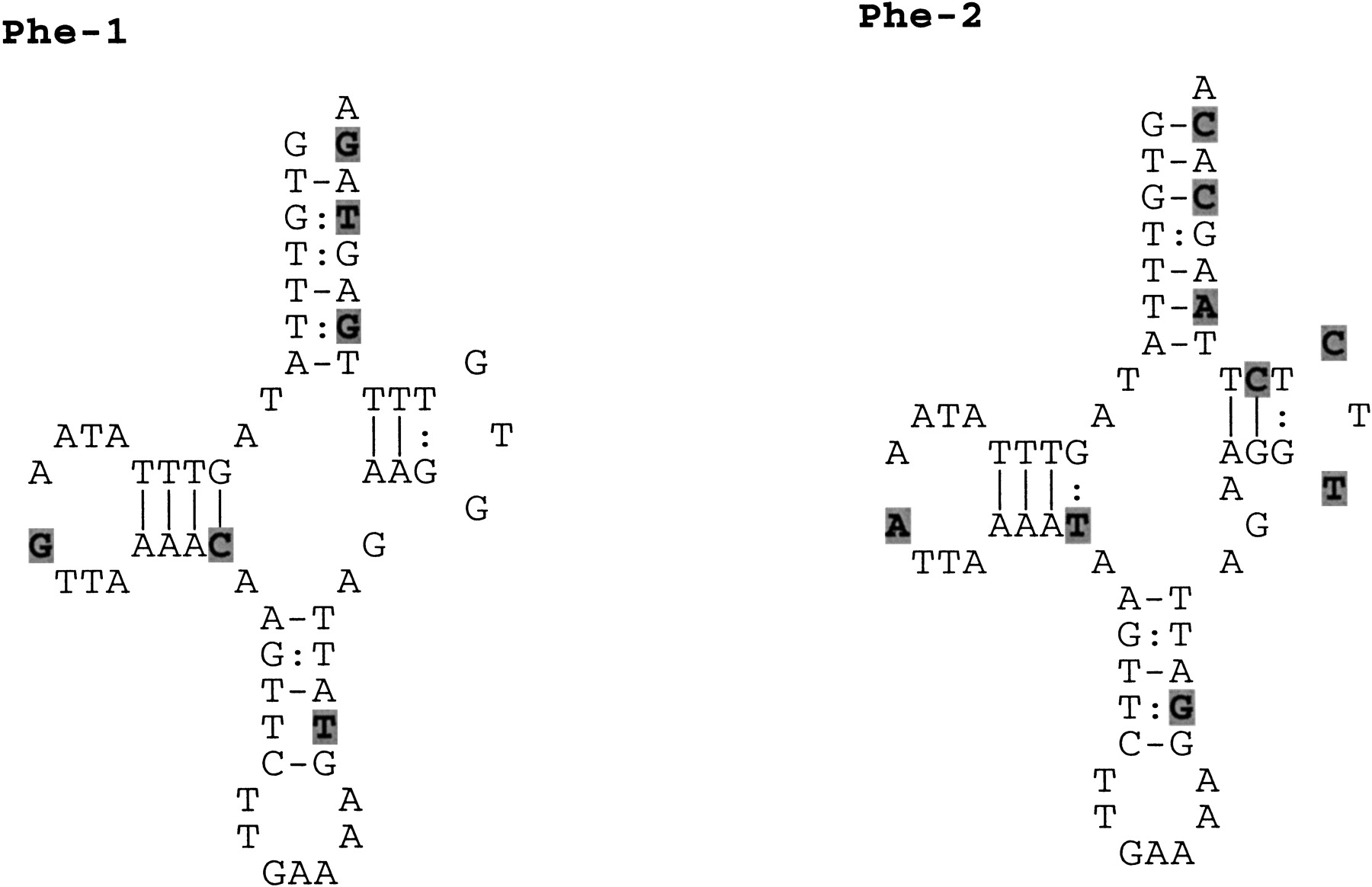 66468-08f3_F1TT