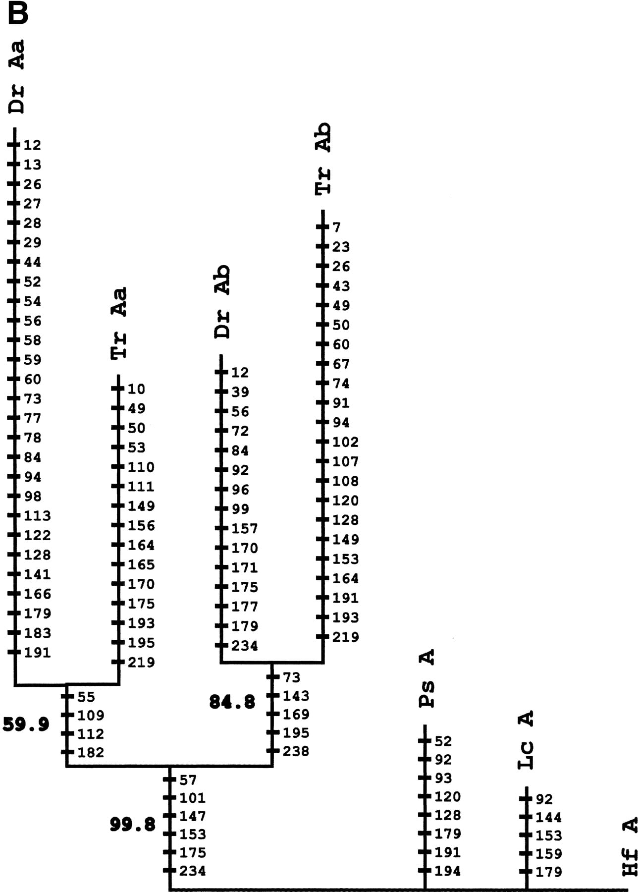 72292-13f3b_L1TT_rev2