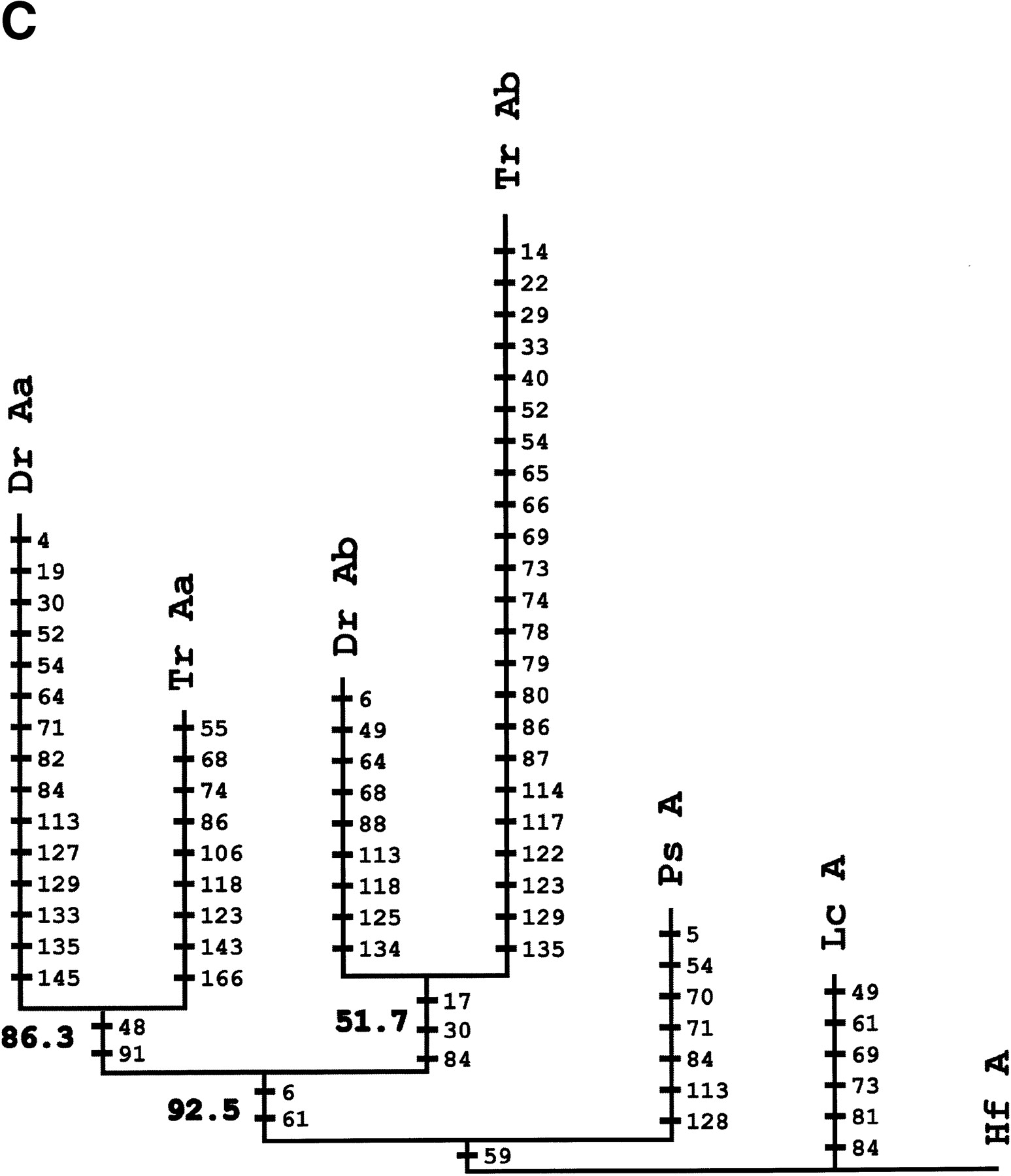 72292-13f3c_L1TT_rev1