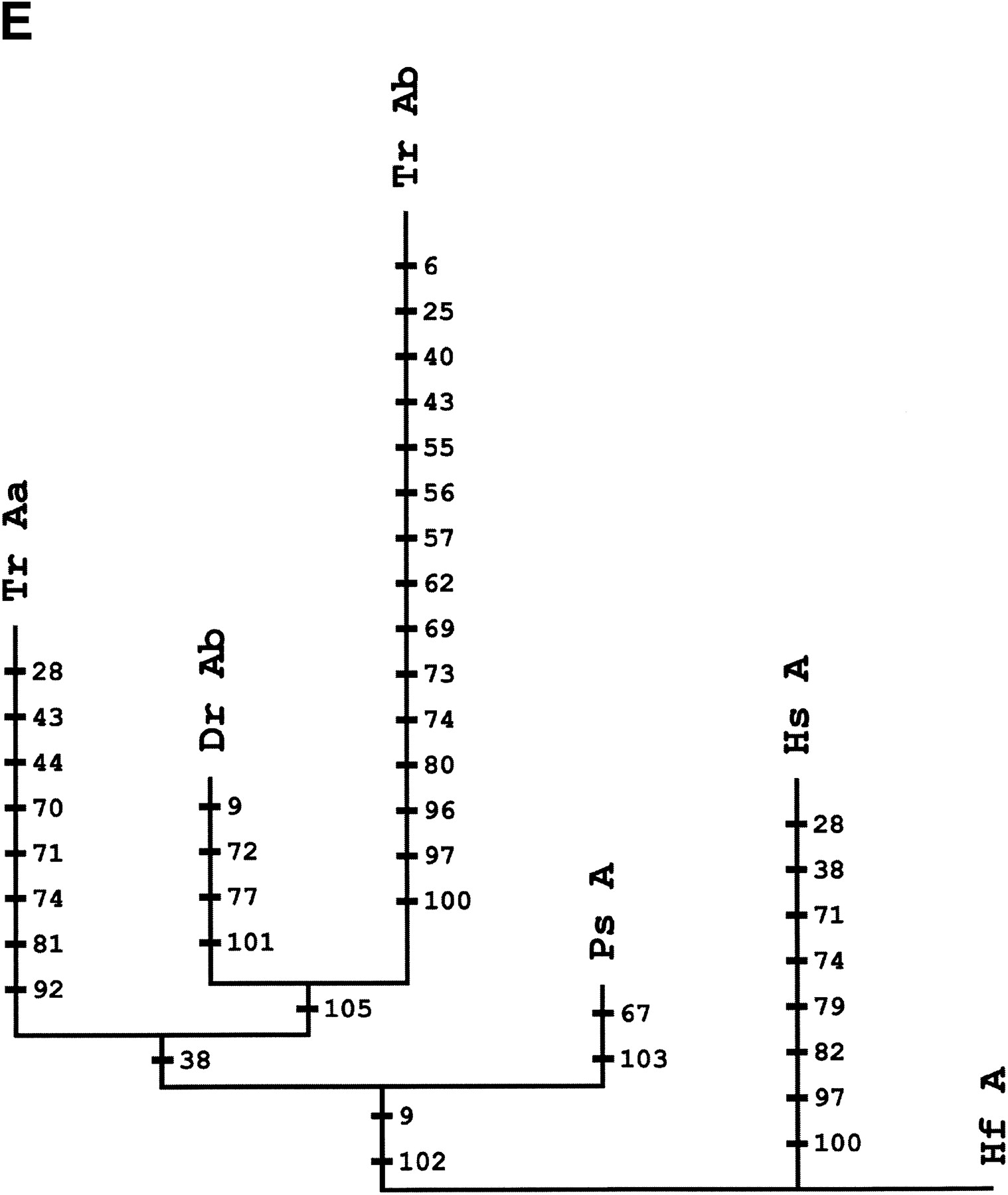 72292-13f3e_L1TT_rev1
