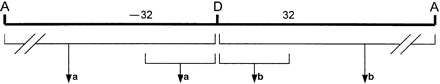 72292-23t2_macro_rev1