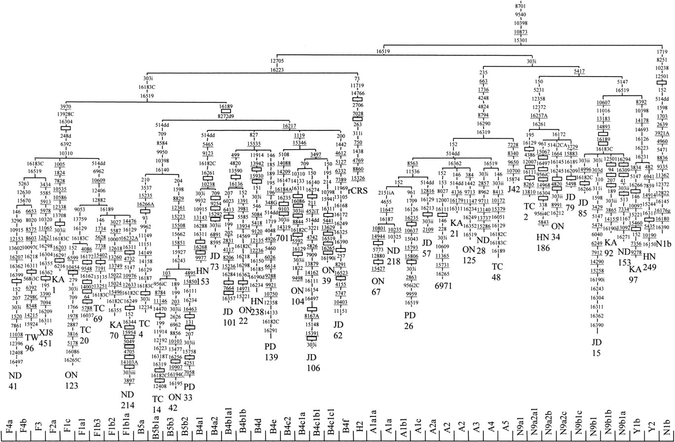 82629-03f2_1o