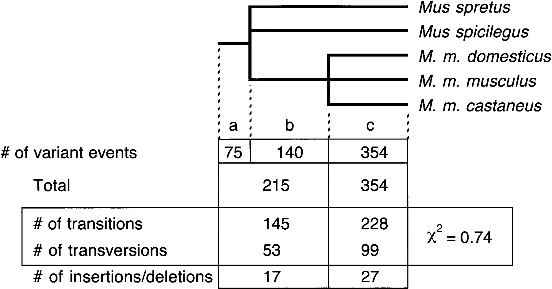 82629-12f2_1o