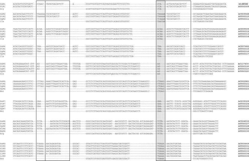 82629-10f4_1o