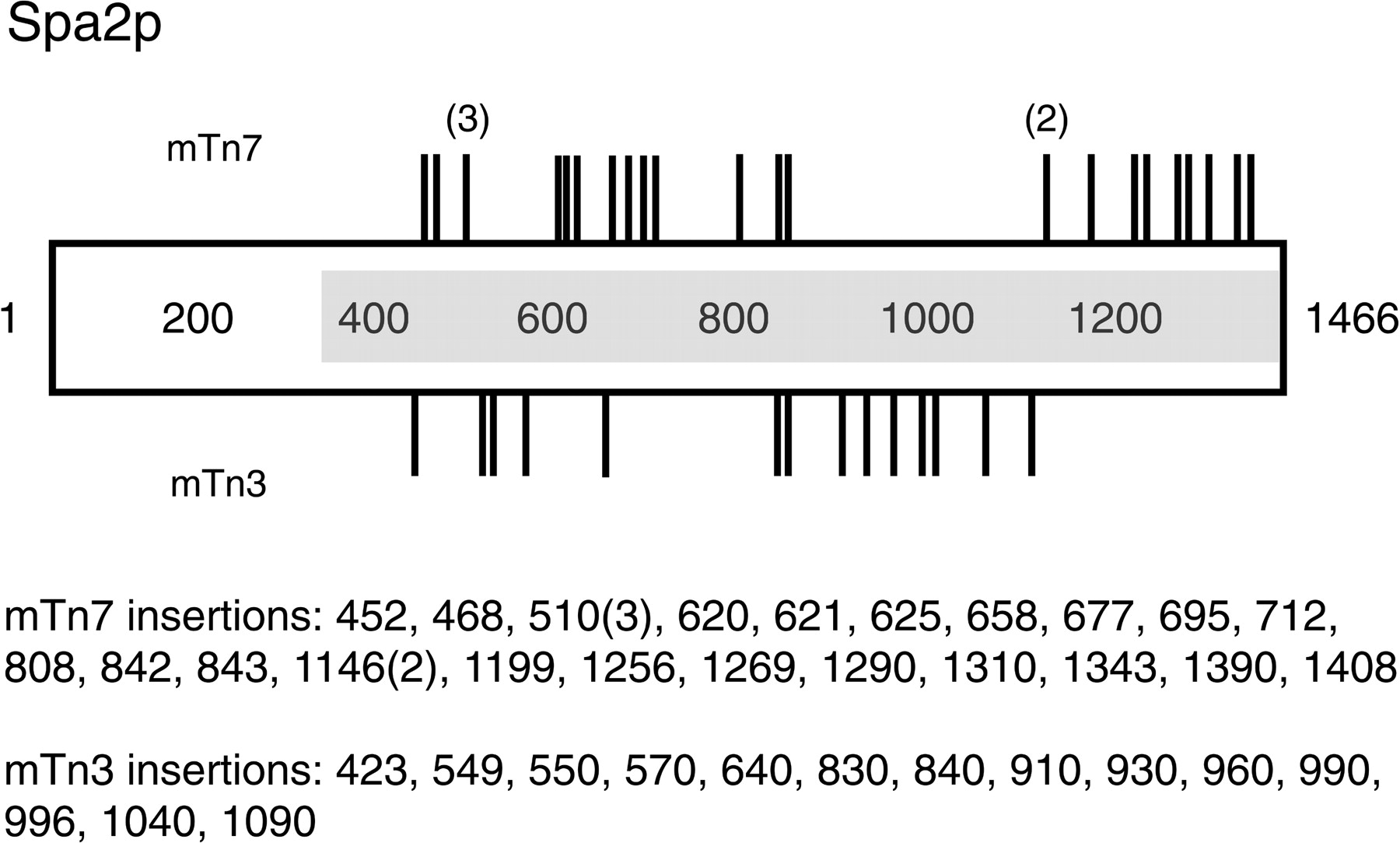 82629-13f4_1o