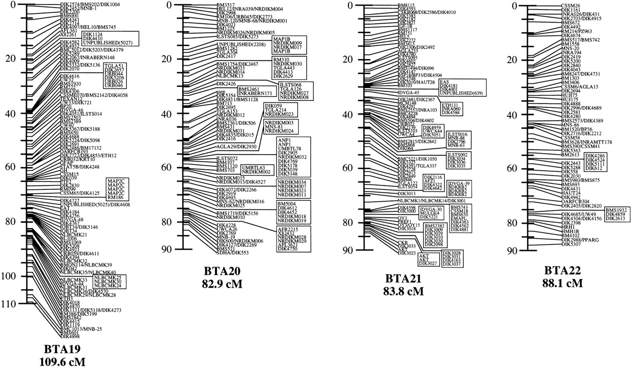 82629-17f1f_1t_rev1