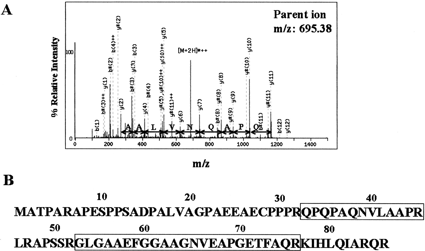84862-09f1_1o