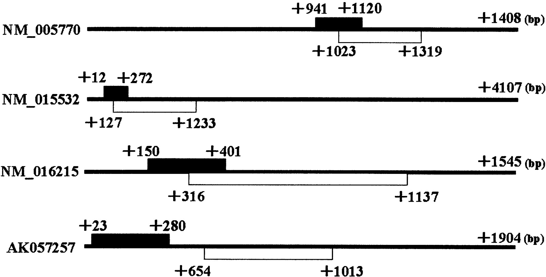 84862-09f2_1o
