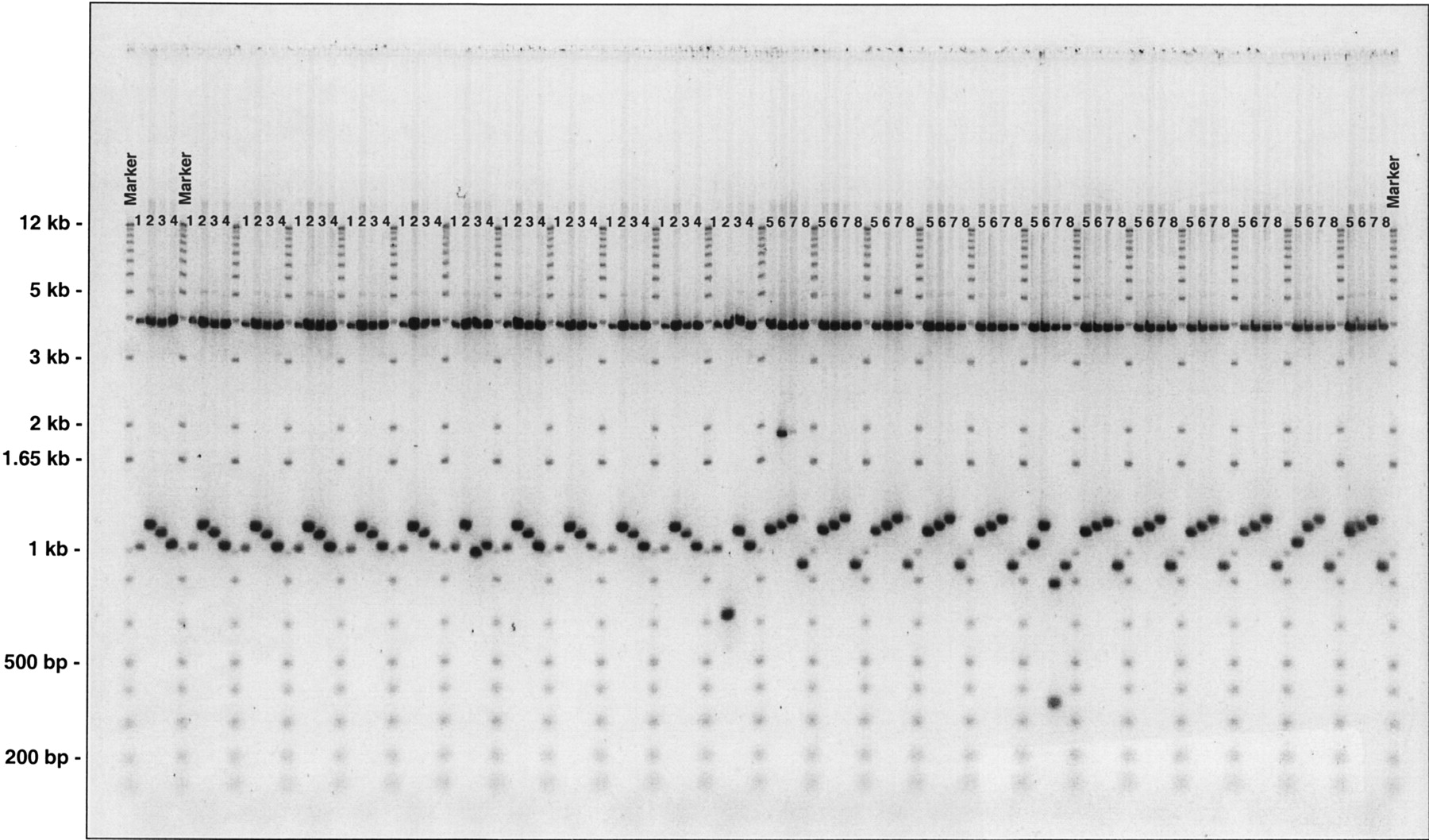 84862-01f4_1t