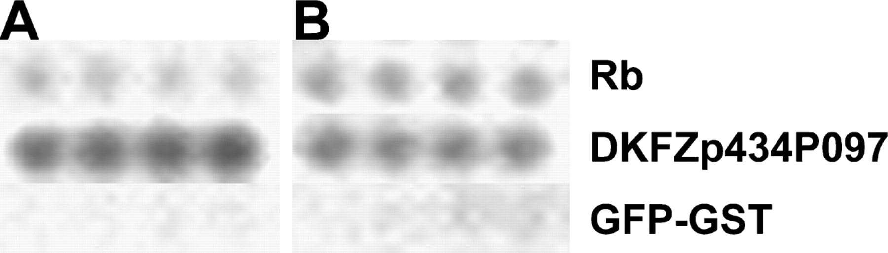 84862-14f7_1o