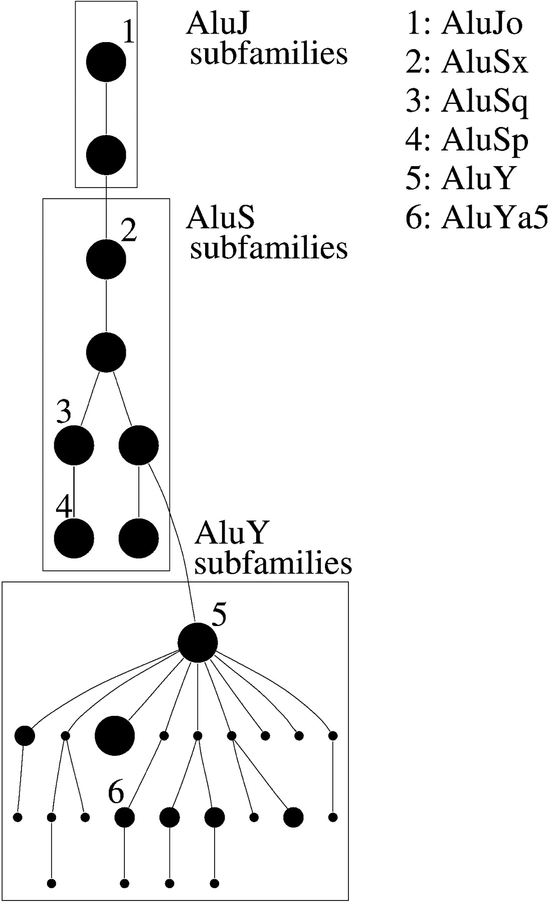 85582-09f3_1o