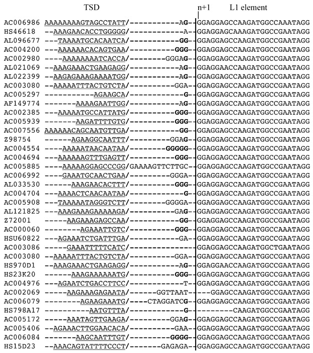 85582-04f1_1o