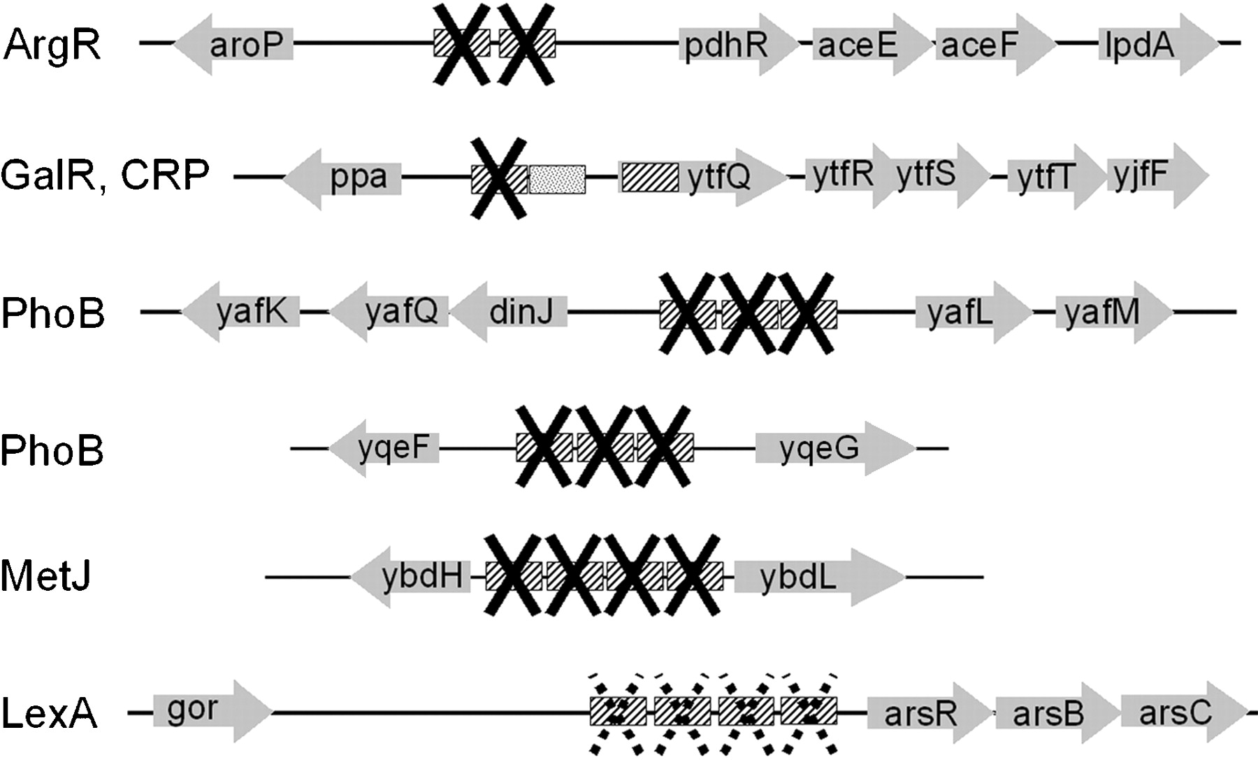 73202-02f1_F1OT