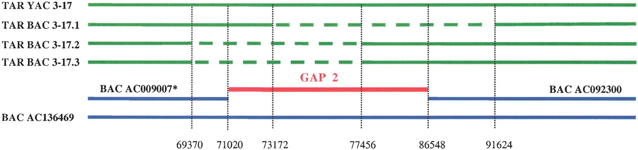 73202-07f4_L4TT