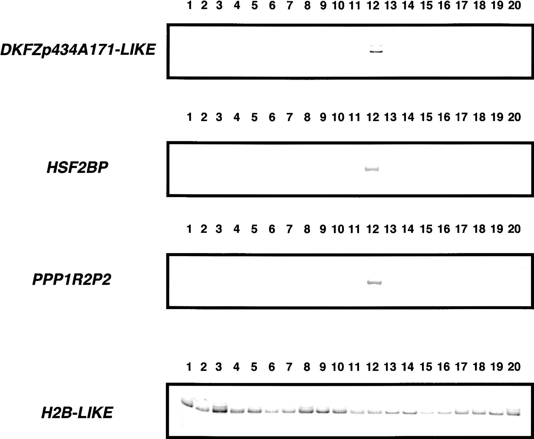 73202-09f3_C1TT
