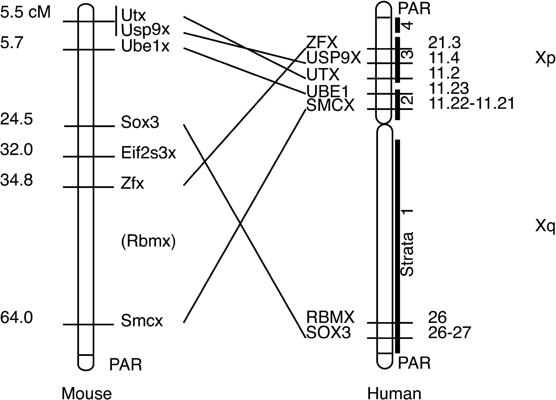 73202-15f1_L1OT_rev1