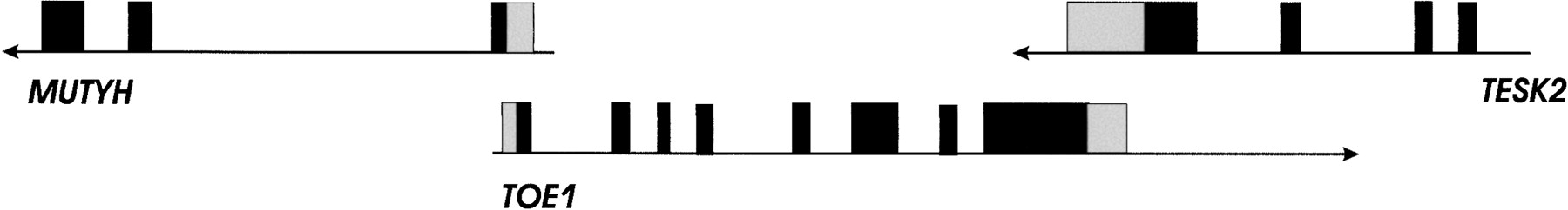 73202-10f1_F1TT