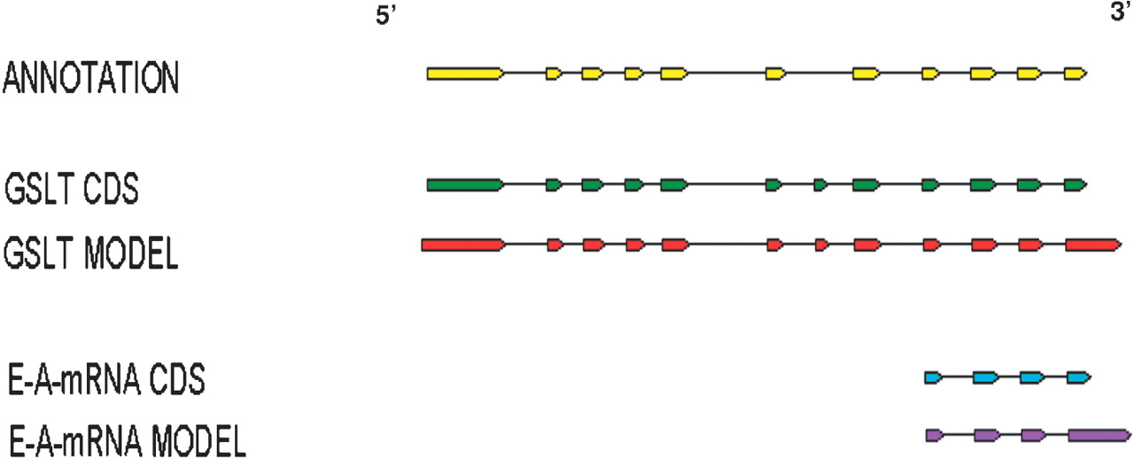 73205-24f3_F4OT