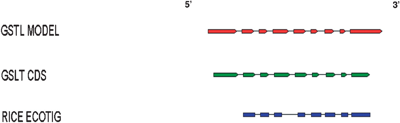 73205-24f7_F4OT