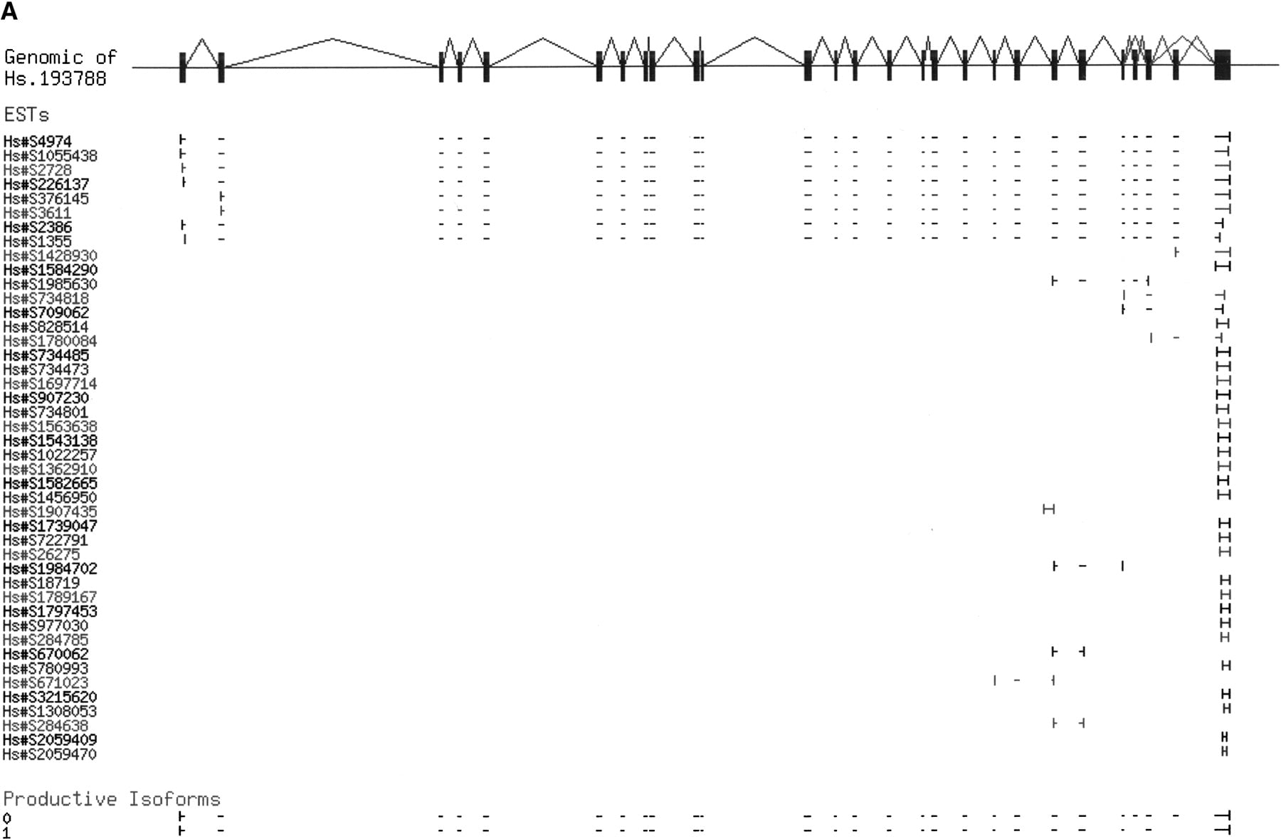 73205-19f6a_F1TT