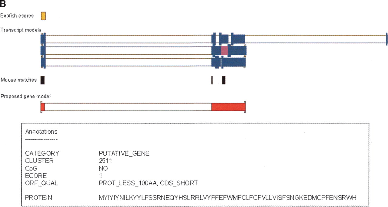 73205-18f2b_C4TT
