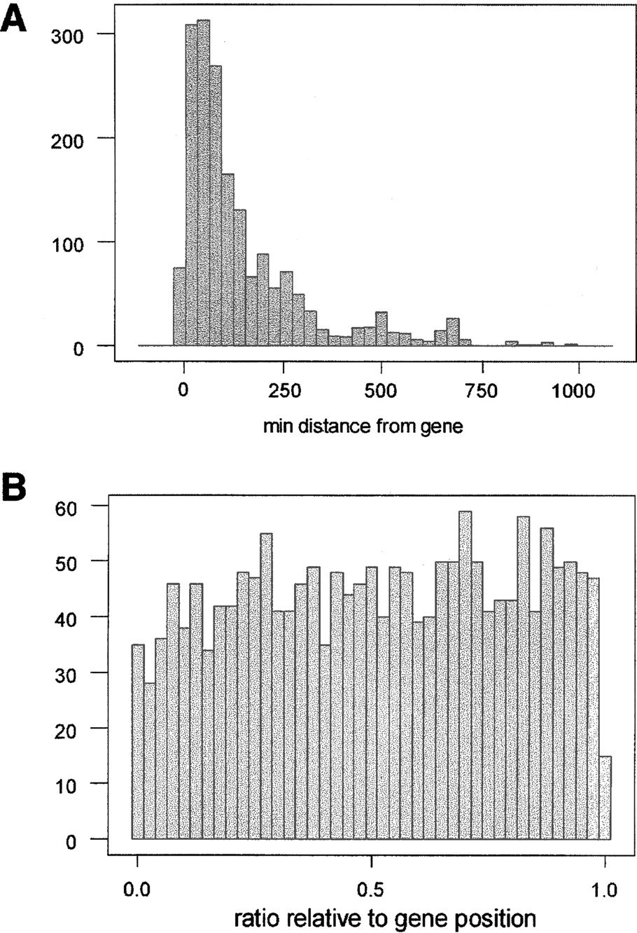 74733-01f3_1t_rev2