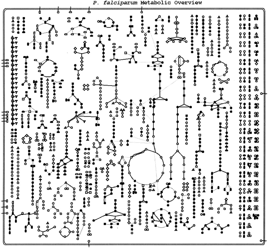 74733-04f2_1t