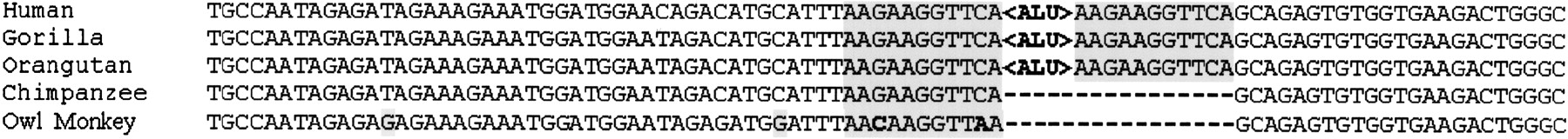 77098-23f1_1t