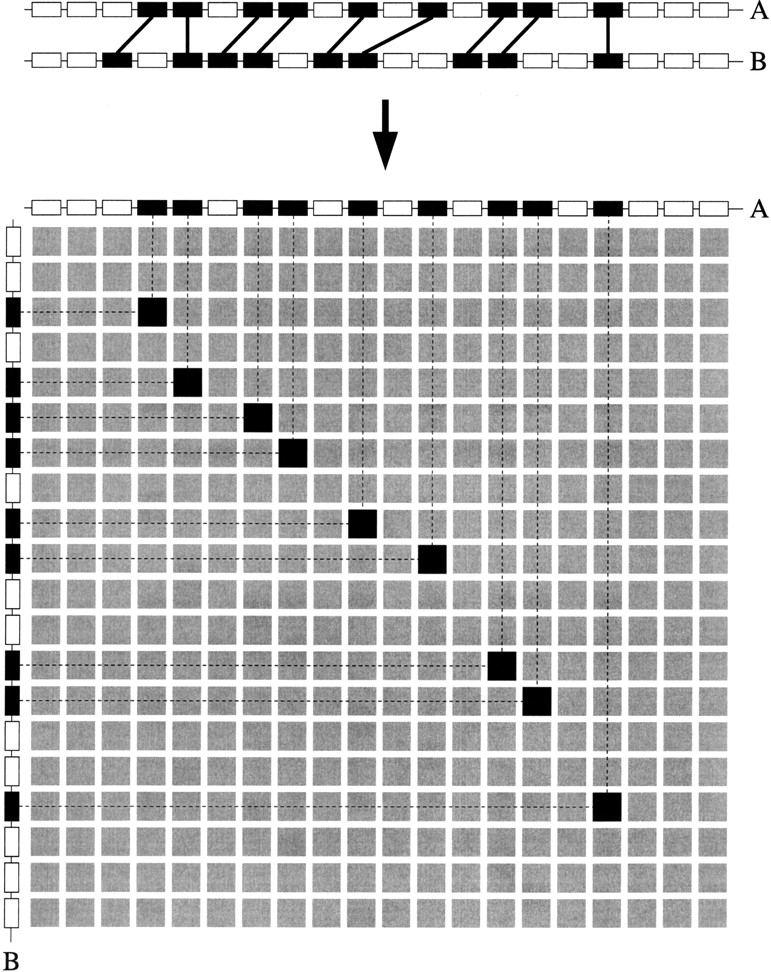 77098-12f1_1t