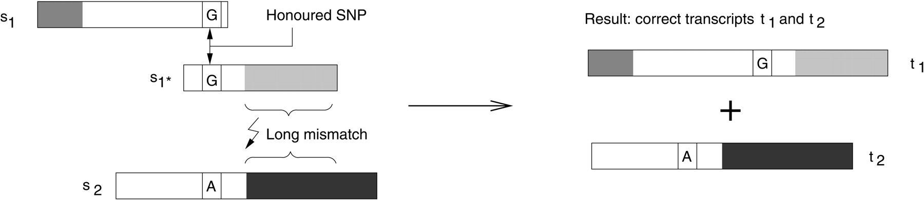 77098-04f2_1o