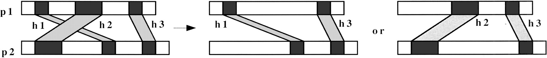 77098-06f1_1t