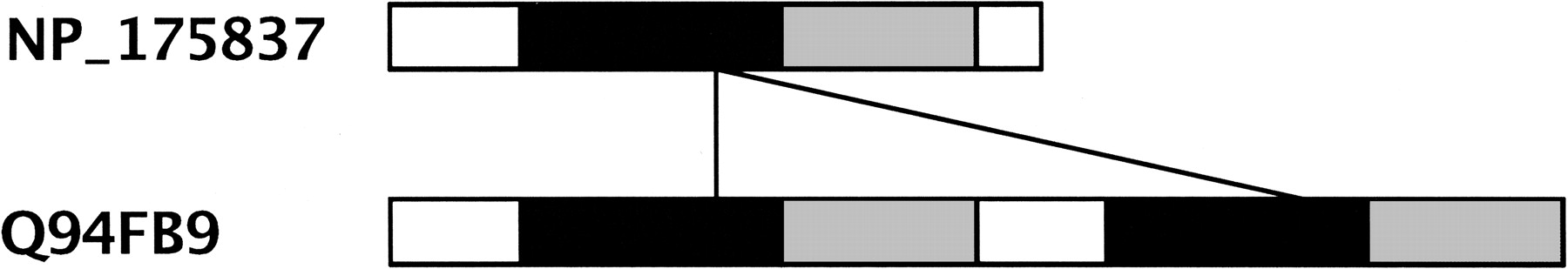 77098-06f11_1t