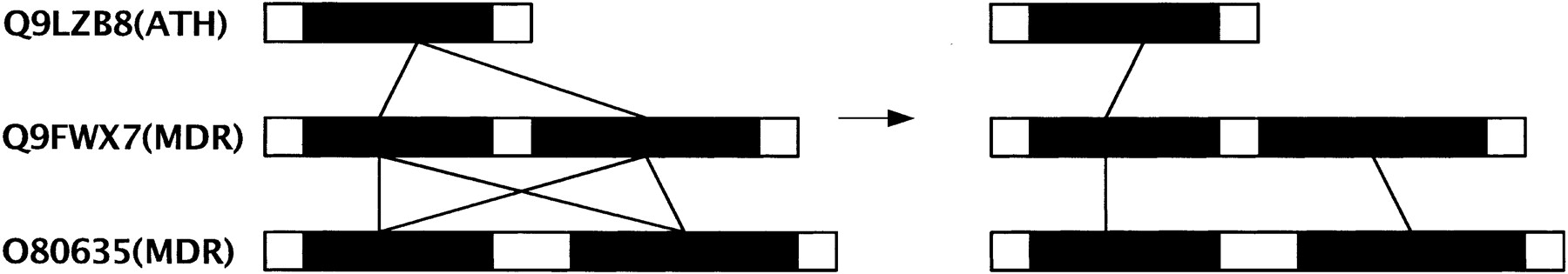77098-06f8_1t
