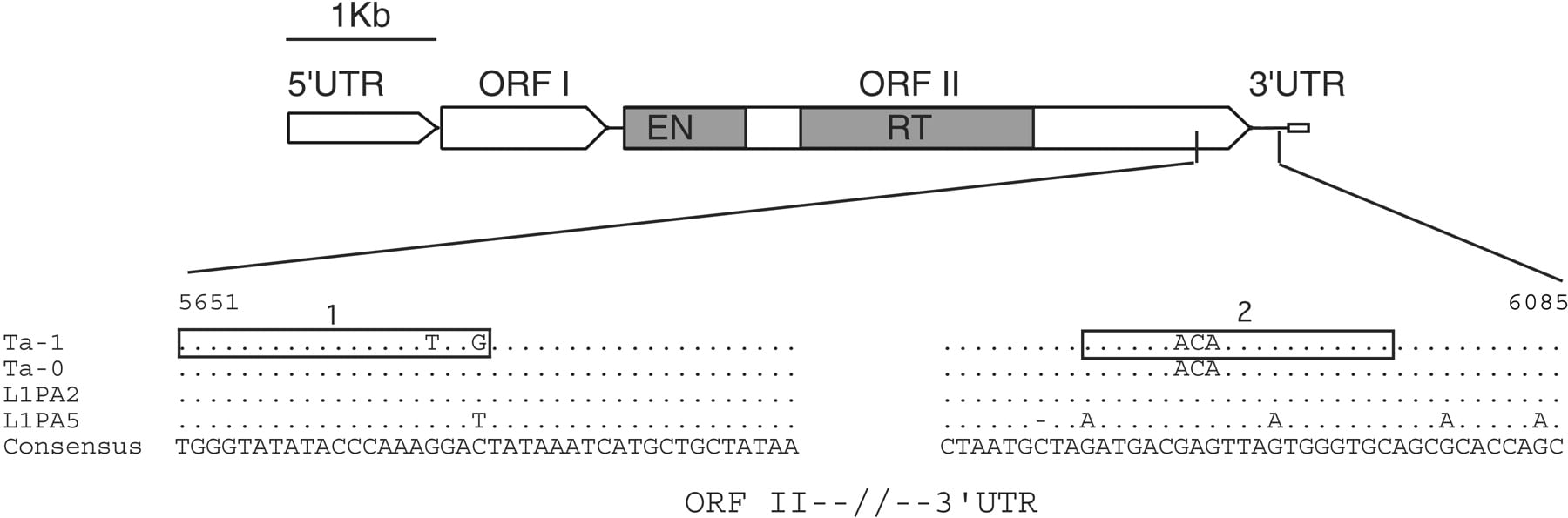 78942-04f1_1o_rev1