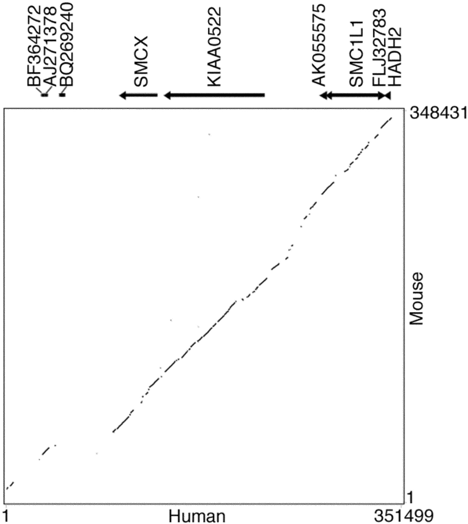 78942-12f4_1o