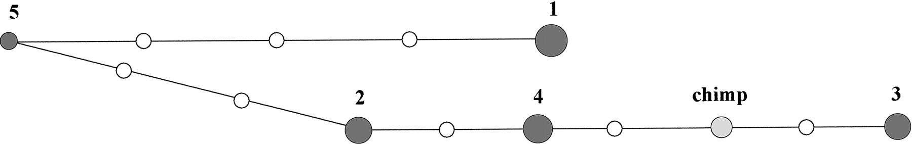 78942-10f2_1t