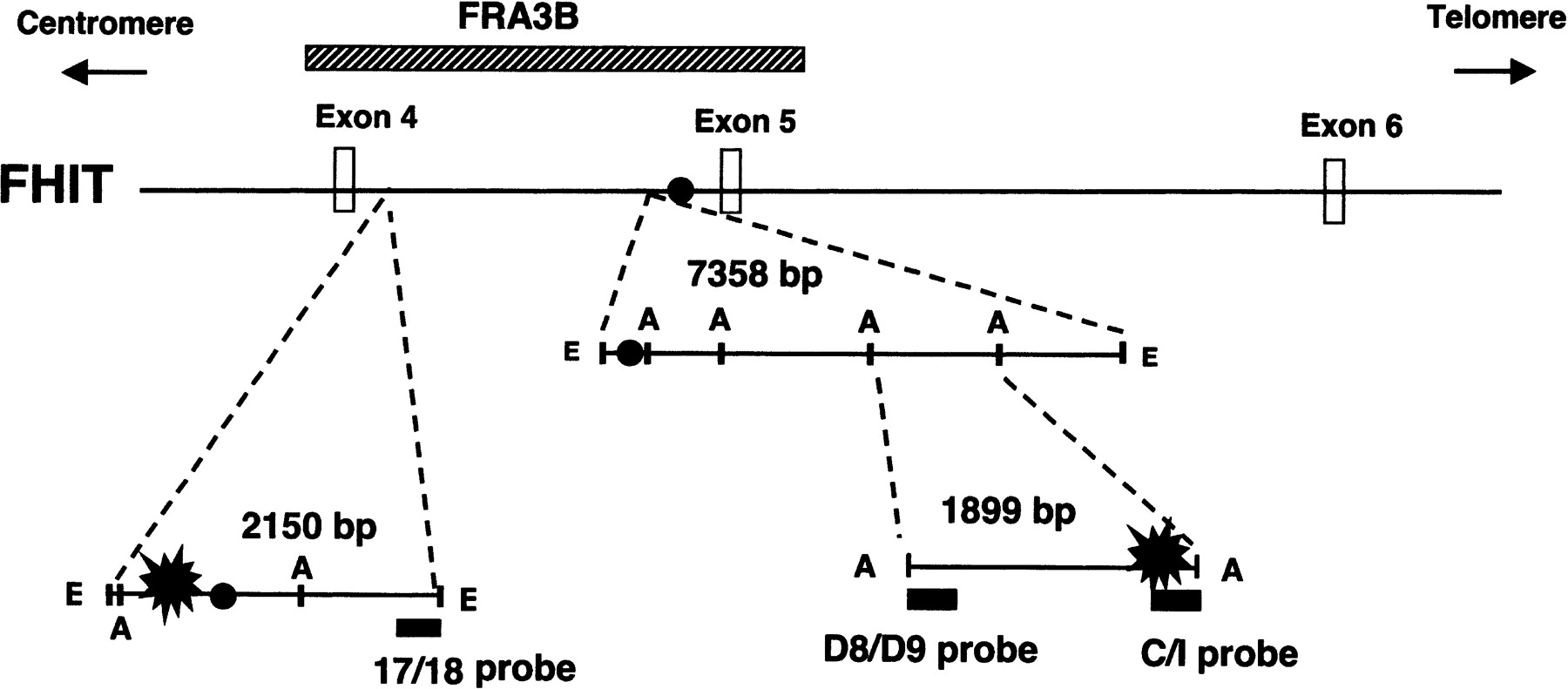 78942-23f1_1t