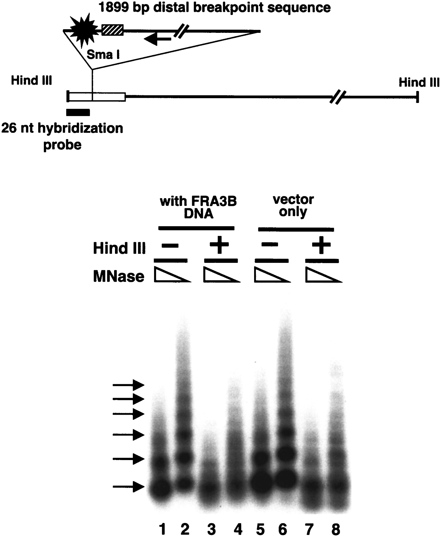 78942-23f5_1t