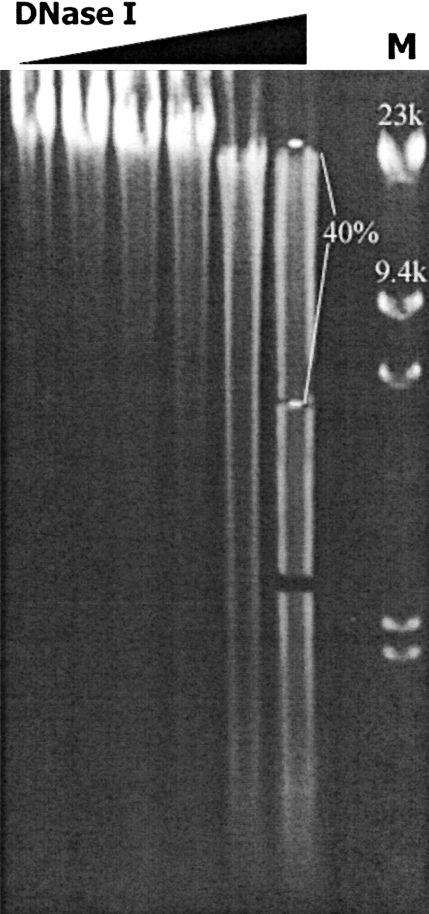 78942-26f3_1o