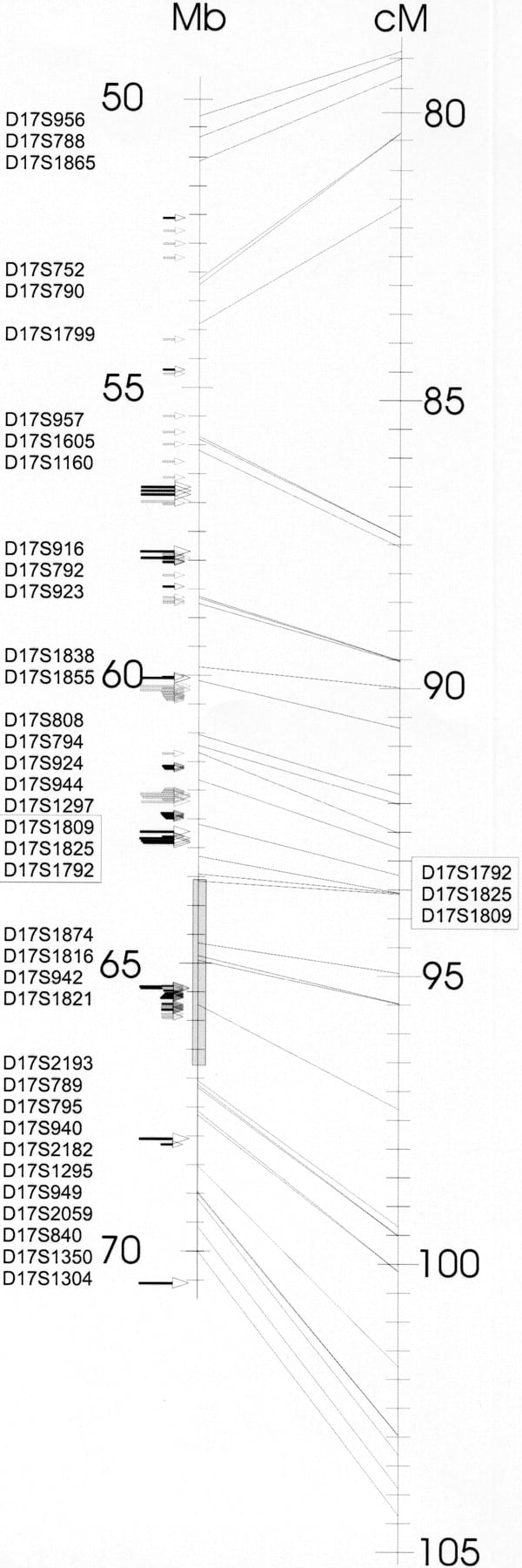 80776-02f3_1t