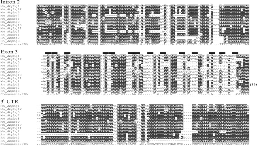 80776-08f4_1o