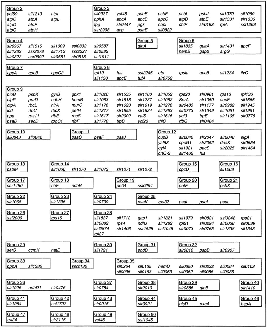 80776-04t3_1t