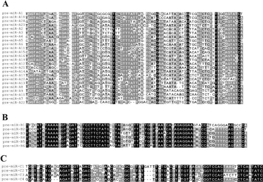 82626-02f3_1t