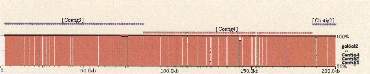 GR300072f1_4t