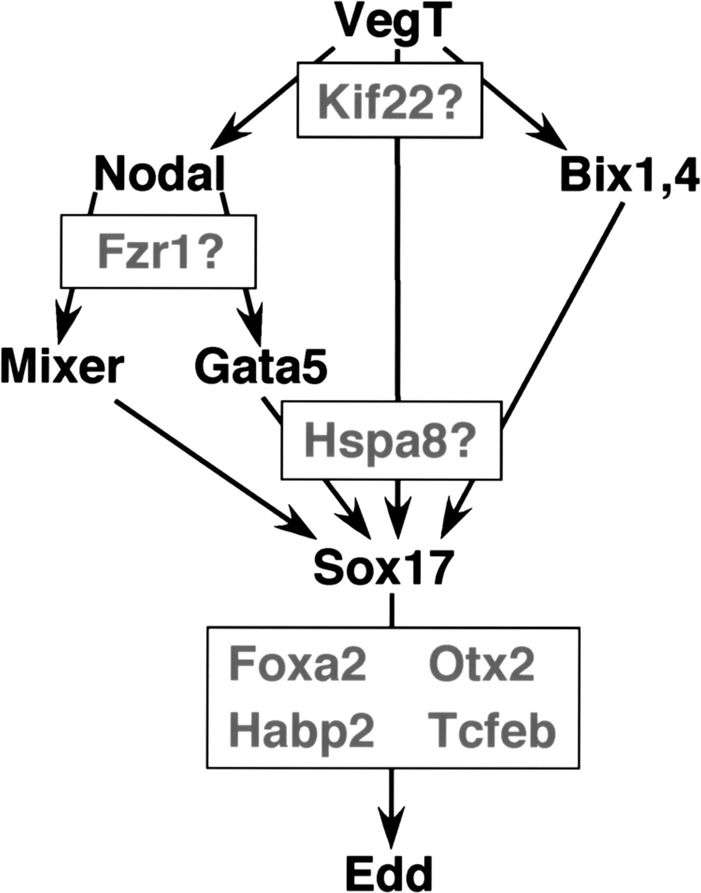 GR29934f6_1t_rev1